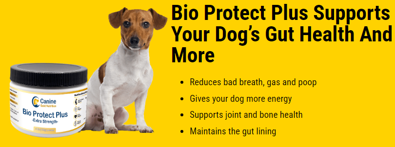 Bio Protect Plus